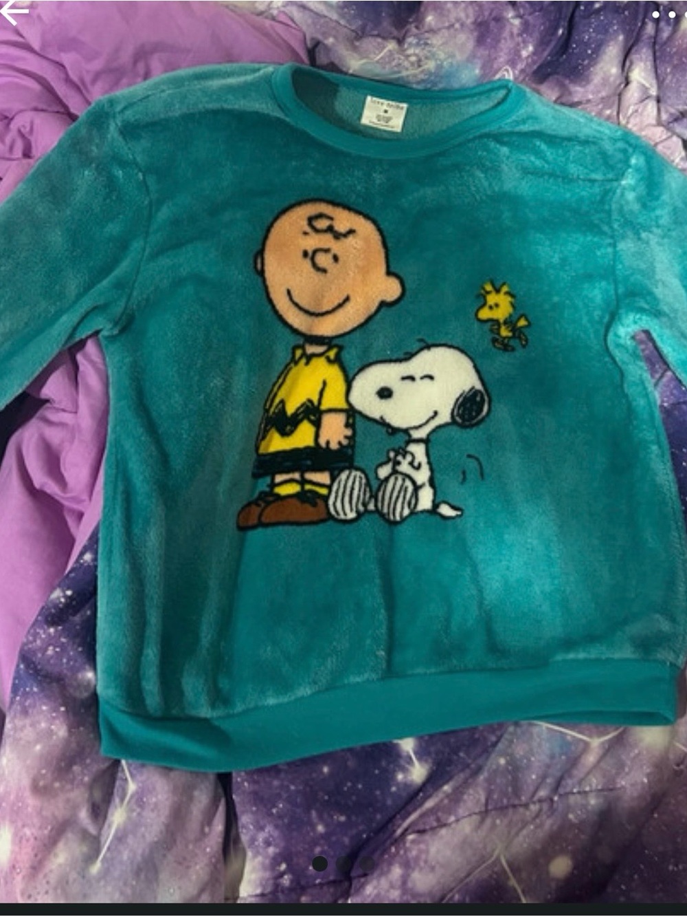 Women’s  Teal Snoopy & Charlie Brown Plush Pullover